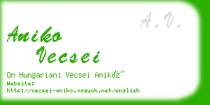 aniko vecsei business card